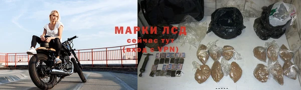 эйфоретик Касимов