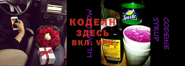 эйфоретик Касимов
