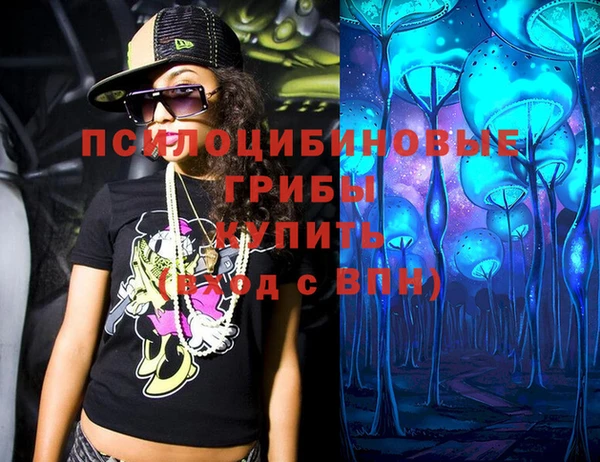 эйфоретик Касимов