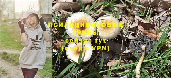 амф Карталы