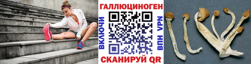 Псилоцибиновые грибы Magic Shrooms  даркнет как зайти  Новохопёрск  где купить наркотик 